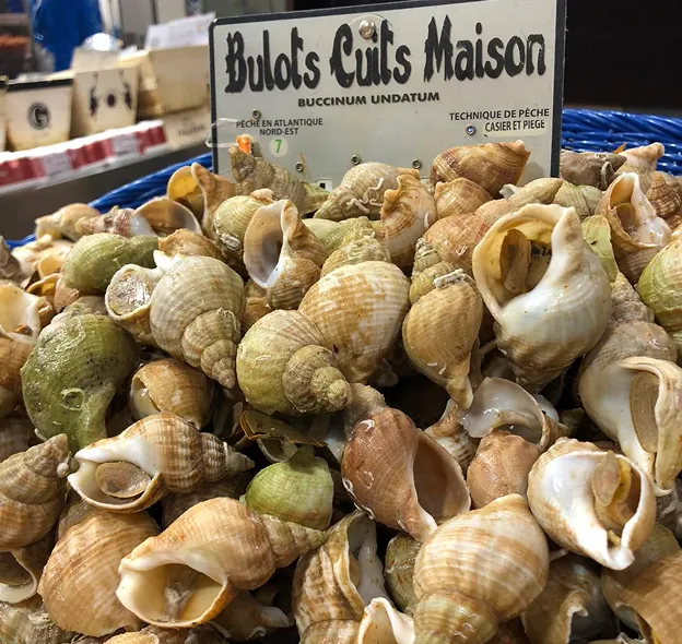 Grand plat de bulots cuits, étiquette du marché visible à Saint-Germain-en-Laye dans les Yvelines 78