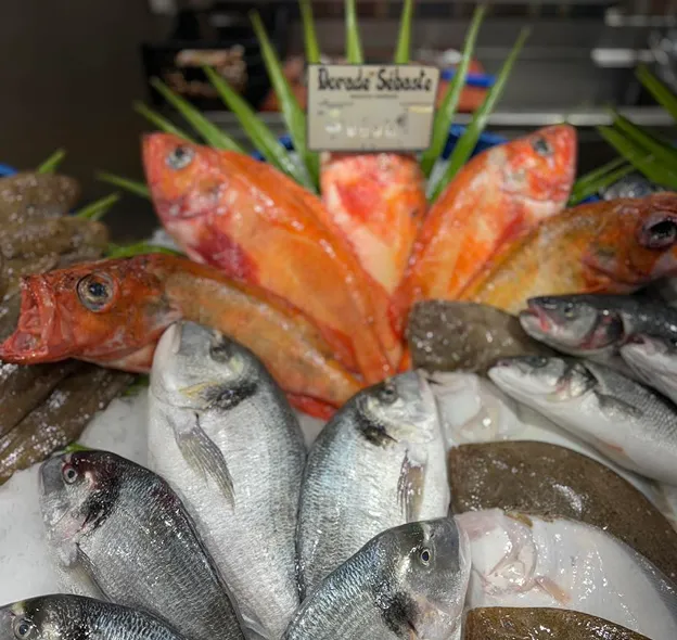 Poisson frais à l'étalage : dorades, sébastes, et autres poissons sur glace à Saint-Germain-en-Laye dans les Yvelines 78